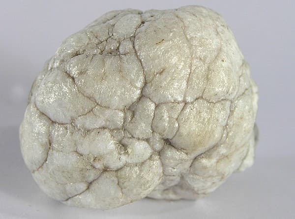 Howlite — example specimen