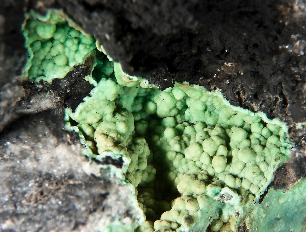 Variscite — example specimen