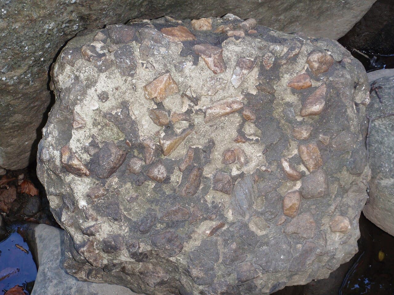 Conglomerate — example specimen