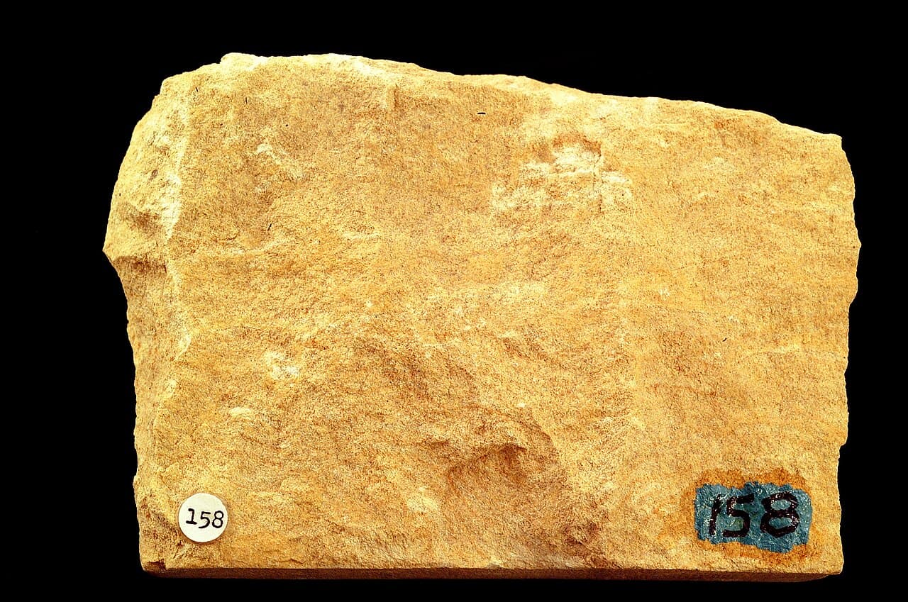 Limestone — example specimen