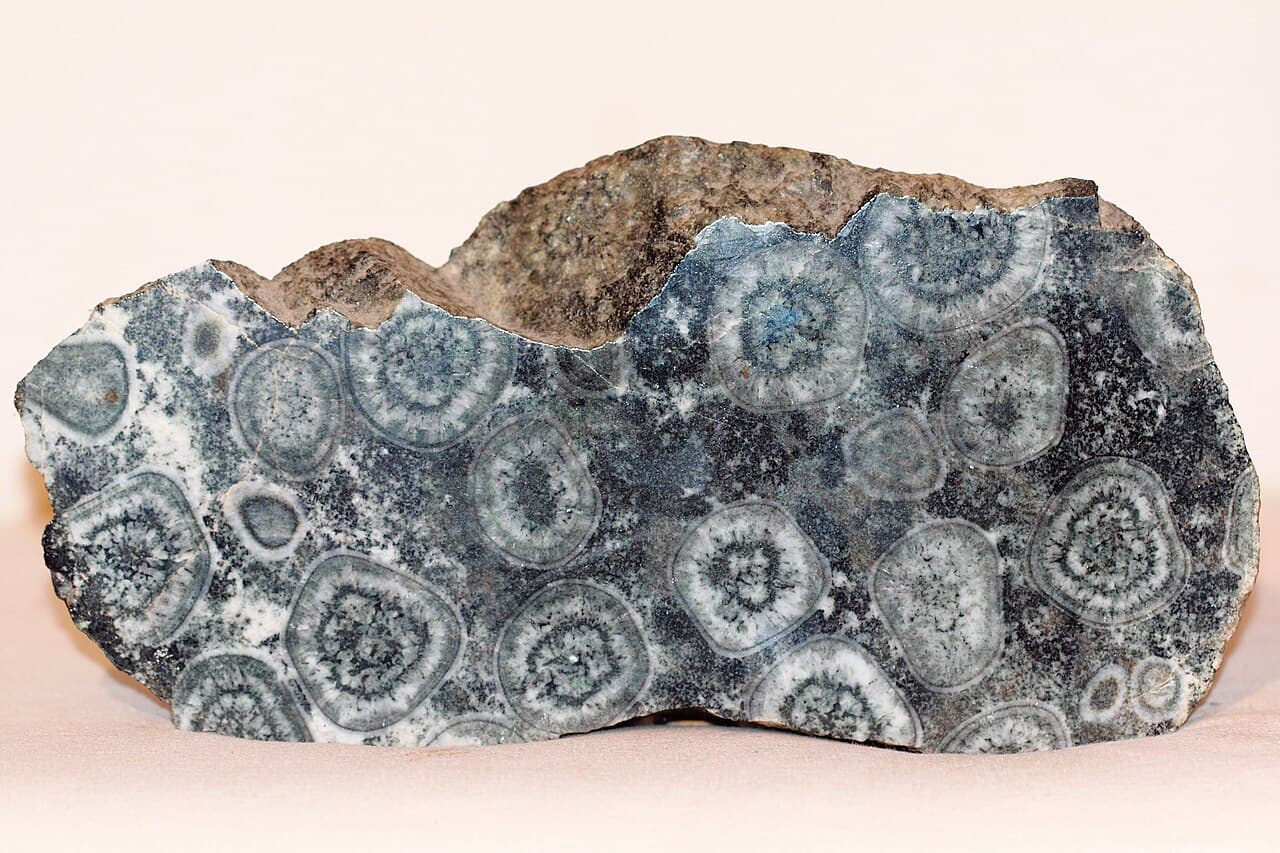 Diorite — example specimen