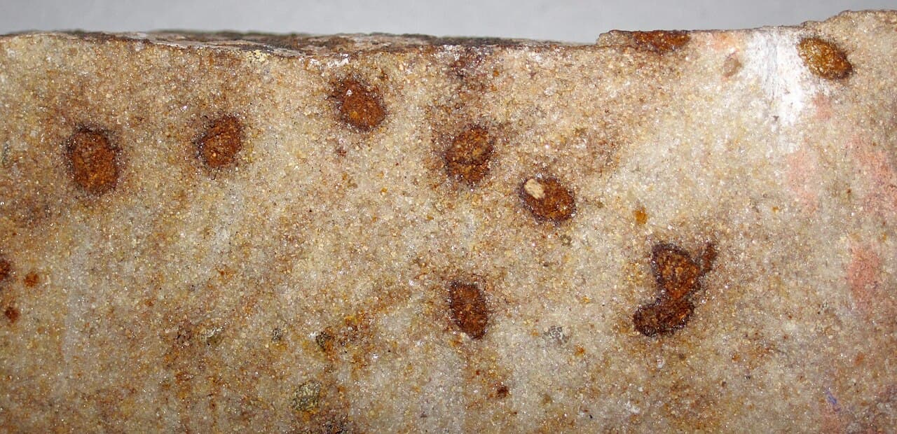 Sandstone — example specimen