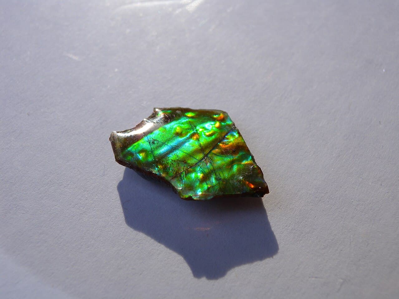 Ammolite — example specimen