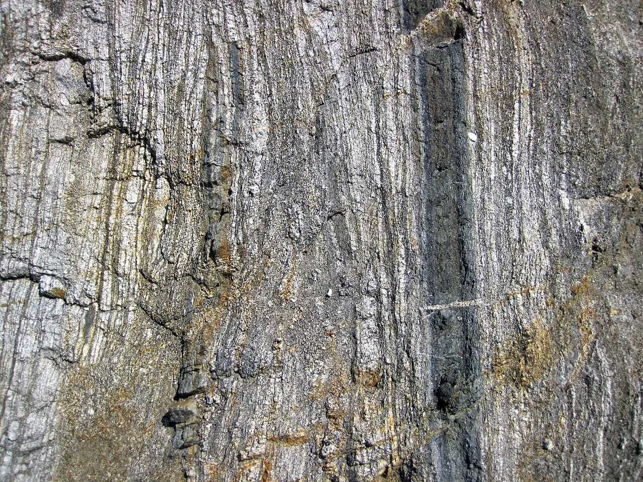 Gneiss — example specimen